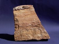 Kalahari Picture Stone (Click to enlarge)